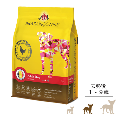 小型成犬用グレインフリ-ドッグフード(チキン)